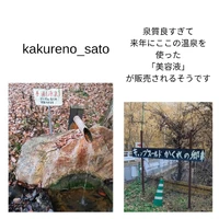 画像257