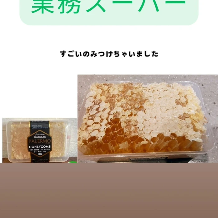 画像261