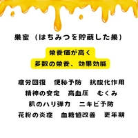 画像262