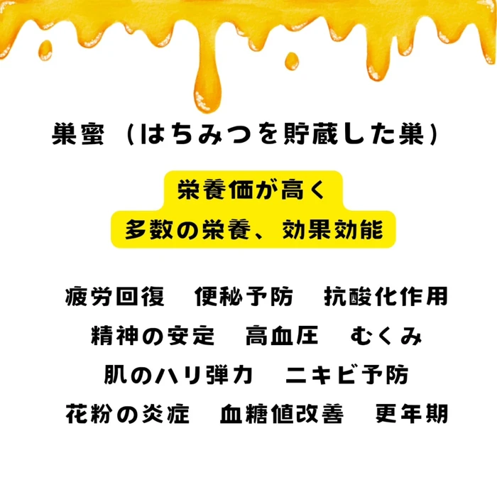 画像262