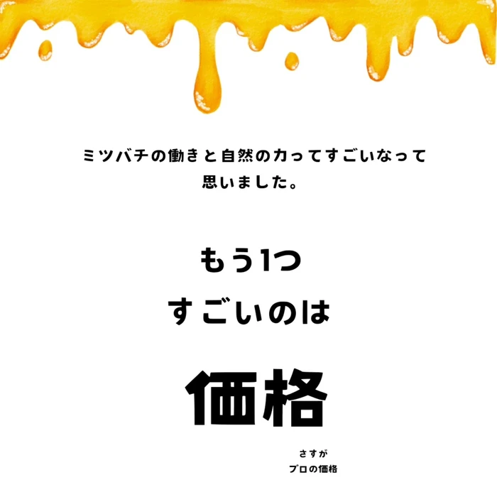画像263