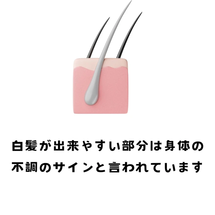 画像275