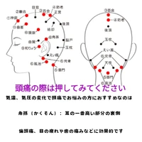 画像276