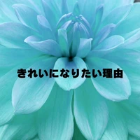 画像296