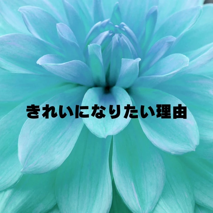 画像296