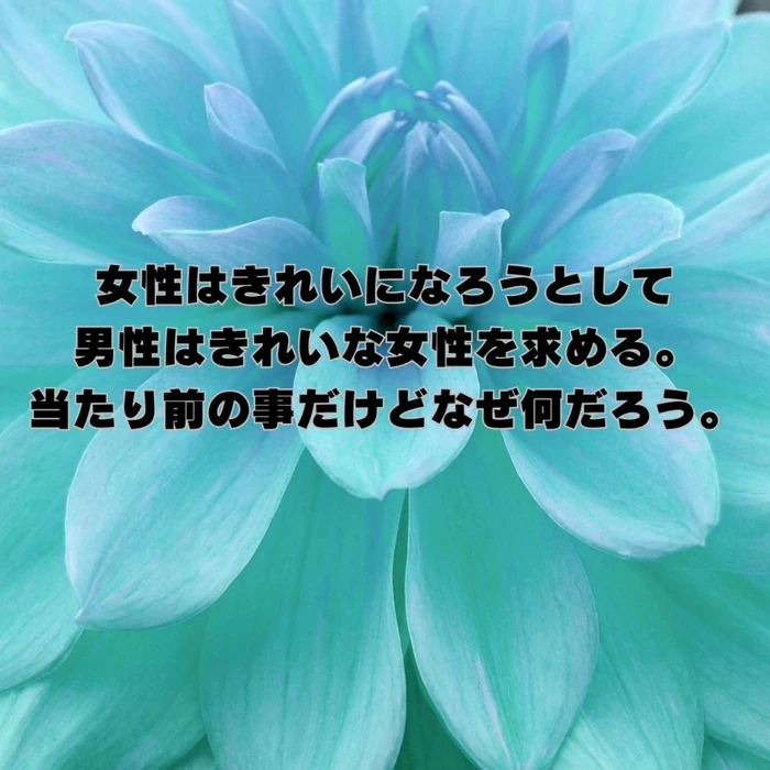 画像297