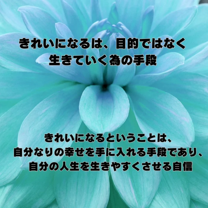 画像298