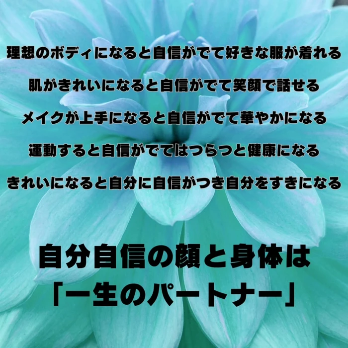 画像299