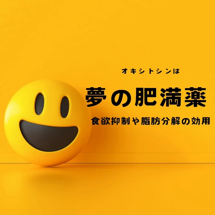 画像406
