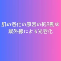 画像523