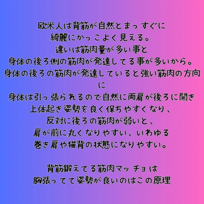 画像541