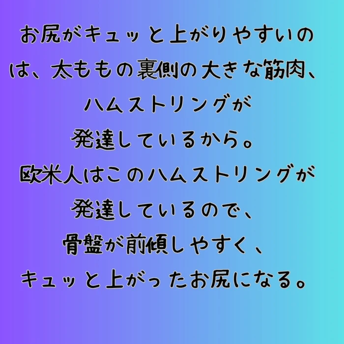 画像542