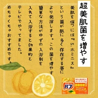 画像619