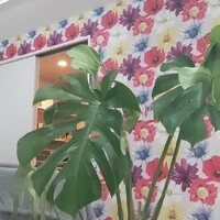 画像730