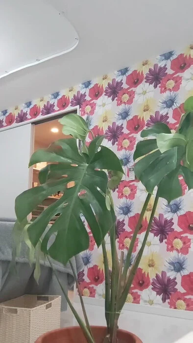 画像730