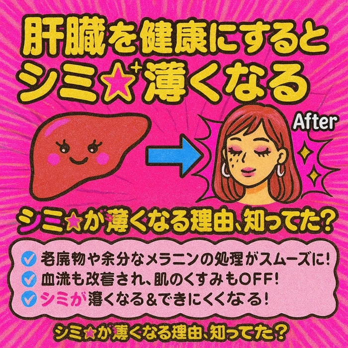 画像779