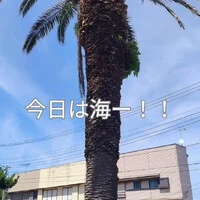 画像818