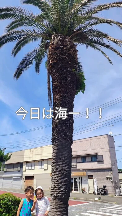 画像818